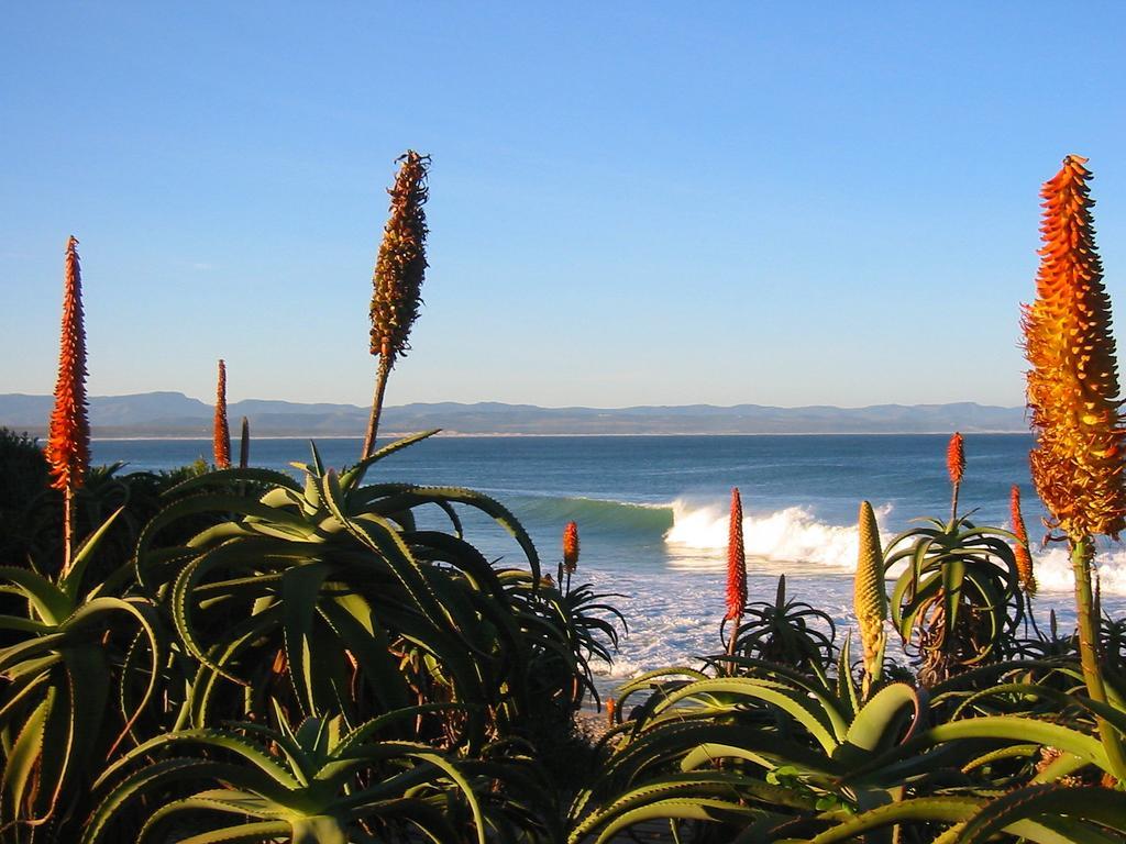 Beach House Hotell Jeffreys Bay Eksteriør bilde