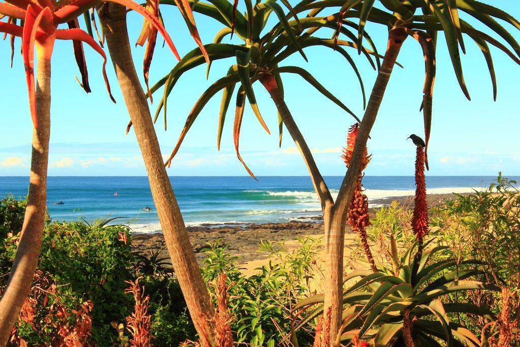 Beach House Hotell Jeffreys Bay Eksteriør bilde